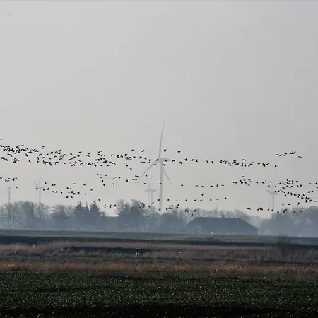 Hostel Rudbøl Rudbol