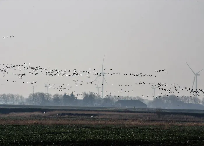 Hostel Rudbol Rudbol