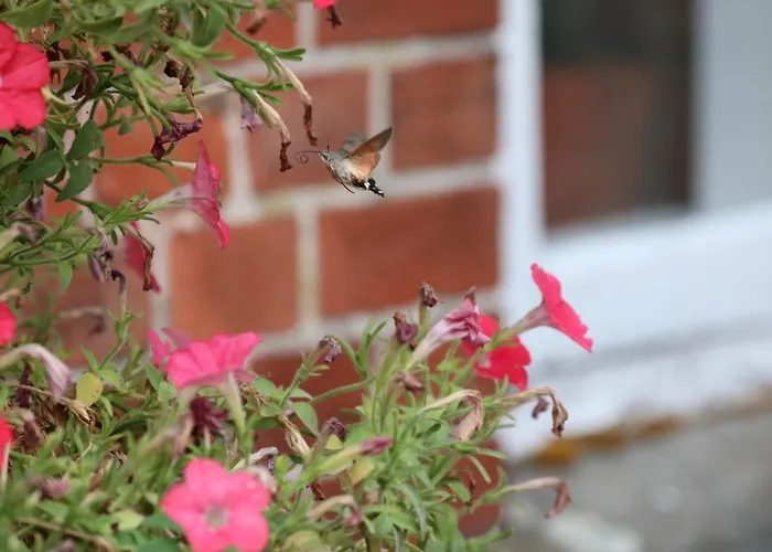 Hostel Rudbol * Rudbol